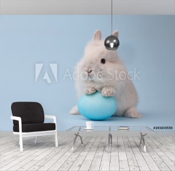 Bild på Easter bunny rabbit with blue painted egg on blue background Easter holiday concept